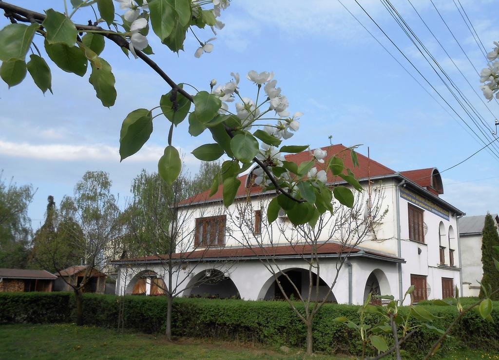 Guest House Marketti Vynohradiv Bagian luar foto