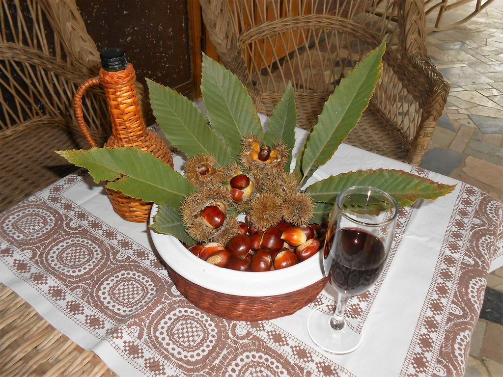 Guest House Marketti Vynohradiv Bagian luar foto