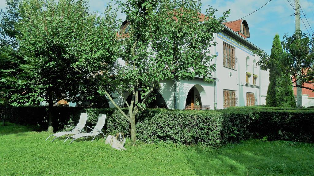 Guest House Marketti Vynohradiv Bagian luar foto